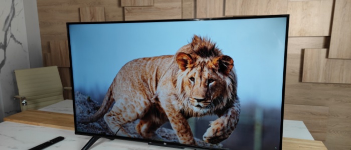 Новый телевизор Xiaomi TV P1E 65"